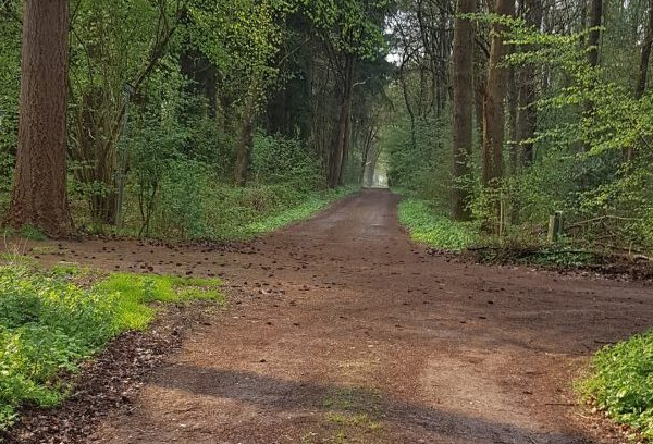 Je bekijkt nu There Is Always A Choice _NL